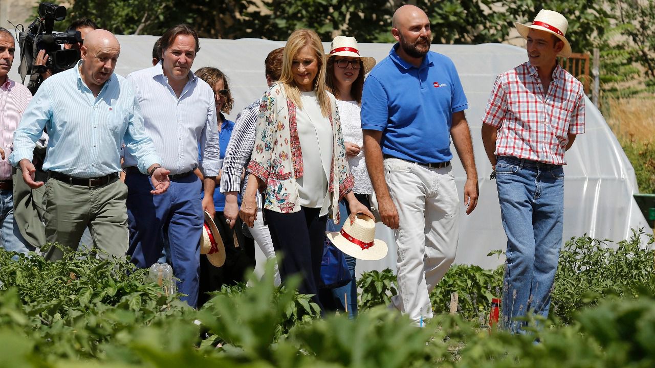 Gerencia Emprendedora