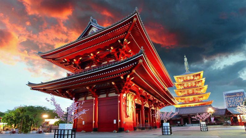 Erwin Miyasaka - Cultura Japonesa