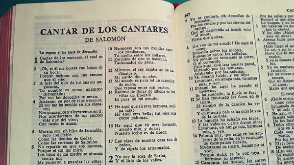 El libro sagrado, la Biblia