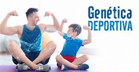 image 4 - Puede la genética predecir el talento deportivo: Explorando la influencia genética en el rendimiento atlético