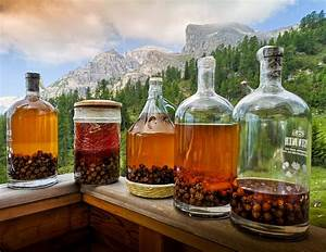 El Impacto de la Sostenibilidad en la Producción de Bebidas Alcohólicas: Hacia un Futuro Responsable