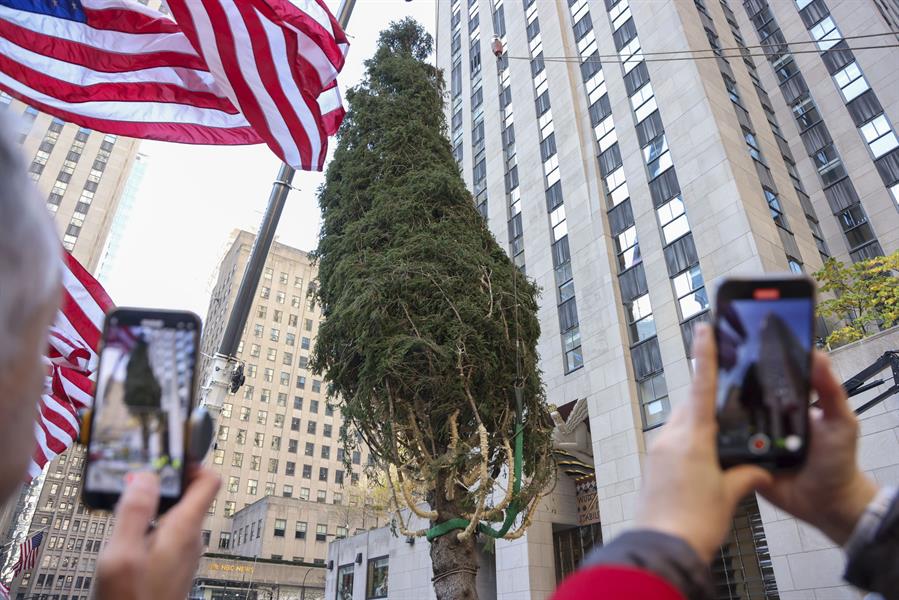 árbol de navidad en Nueva York