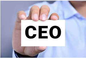 7 errores que Ningún CEO se Puede Permitir por Santiago Otero Armengol