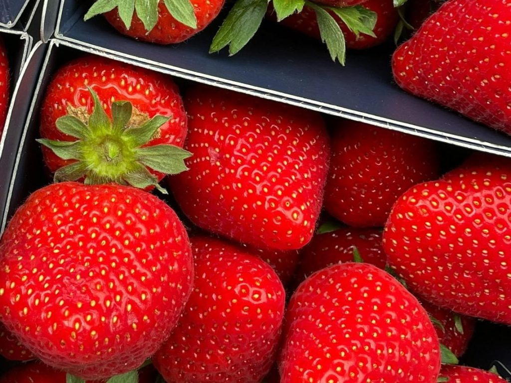 raghavendra mithare cdS0S11bGoo unsplash