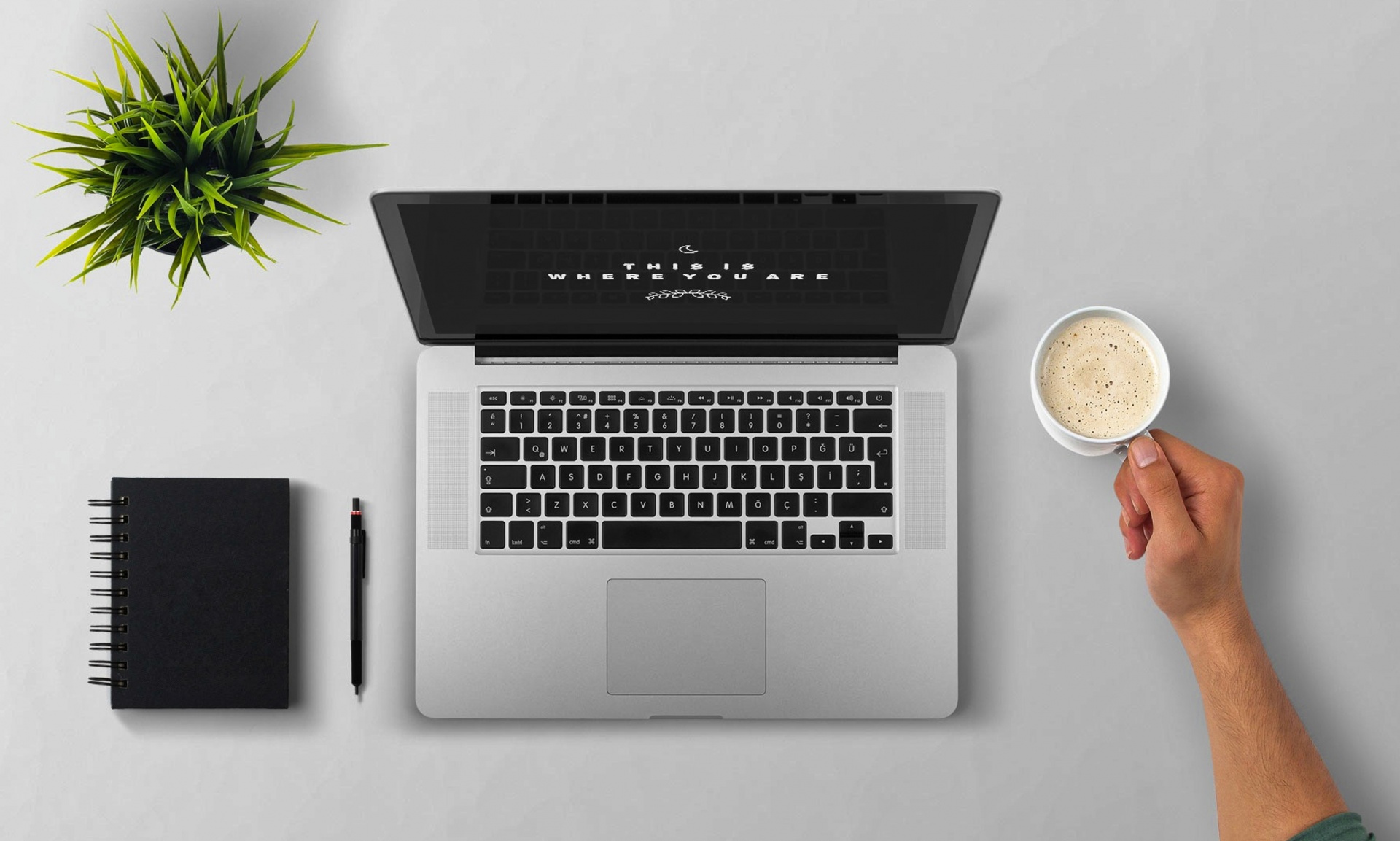 El creativo debe diseñar para incitar a la acción de compra.