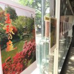 Erwin Miyasaka - Integración Cultural Venezuela Japón
