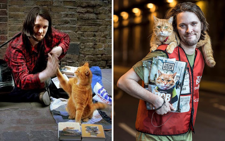 Vivía En La Calle y Se Hizo Millonario Gracias a Un Gato | La Historia James Bowen