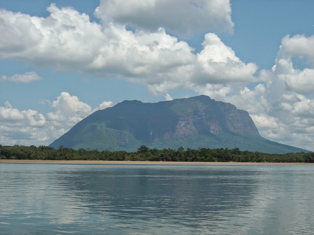 Yammine: El Parque Nacional Yapacana y sus problemas ambientales Yammine: El Parque Nacional Yapacana y sus problemas ambientales