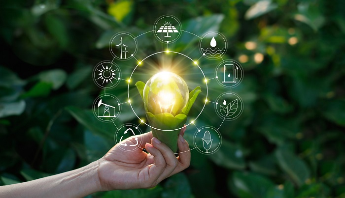Yammine-La innovación sustentable como parte de la Responsabilidad Social Empresarial