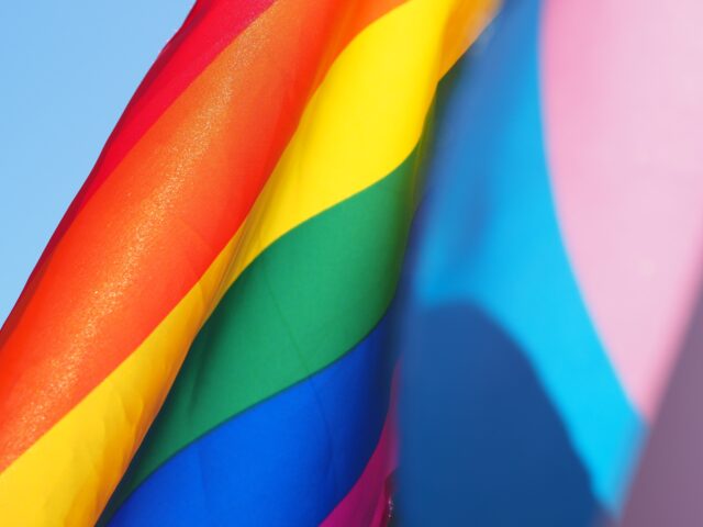 El Sumario -ONG documentó 97 agresiones contra personas LGBTI en Venezuela LGBTIQ+