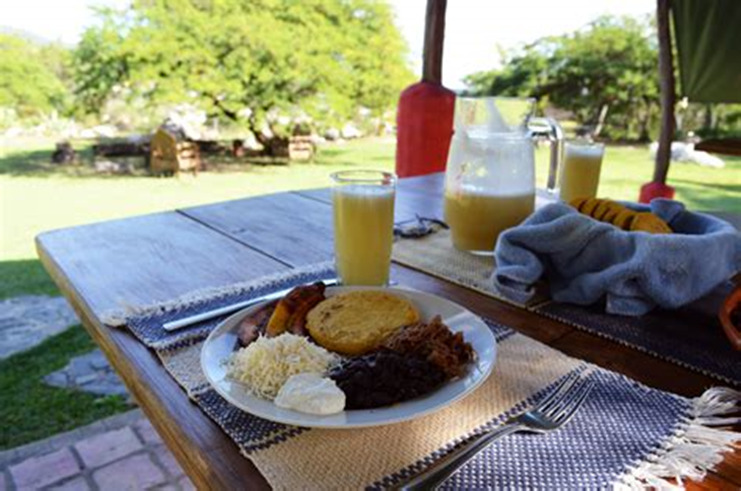 image 1 - <strong>Construción del primer glamping en venezuela</strong>