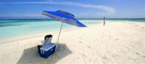 tadeo arosio 300x132 - Tadeo Arosio: diferencia entre los Roques y la isla la tortuga