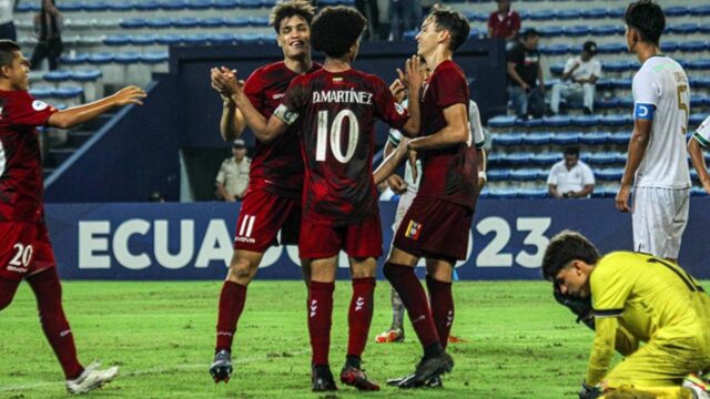 vinotinto
