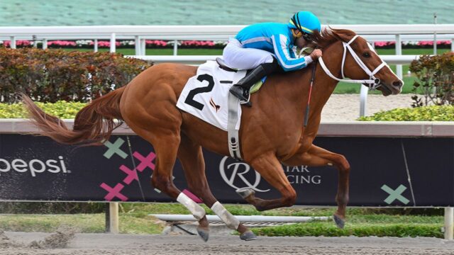 Fuente de imagen referencial: Kentucky Derby, vía web