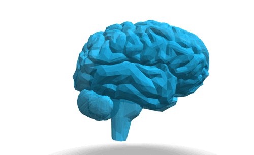 Cerebro mostrando cómo funciona cada una de sus partes.- Blog Hola Telcel