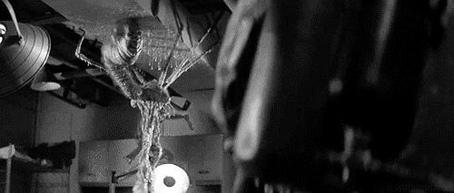 Conocer estos subgéneros del cine de terror te ayudarán a entender mejor tus películas favoritas.-Blog Hola Telcel