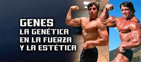 image 5 - Puede la genética predecir el talento deportivo: Explorando la influencia genética en el rendimiento atlético