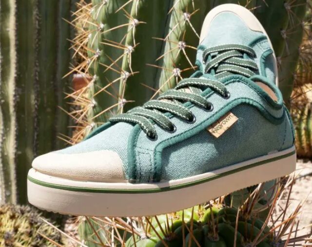 calzado
