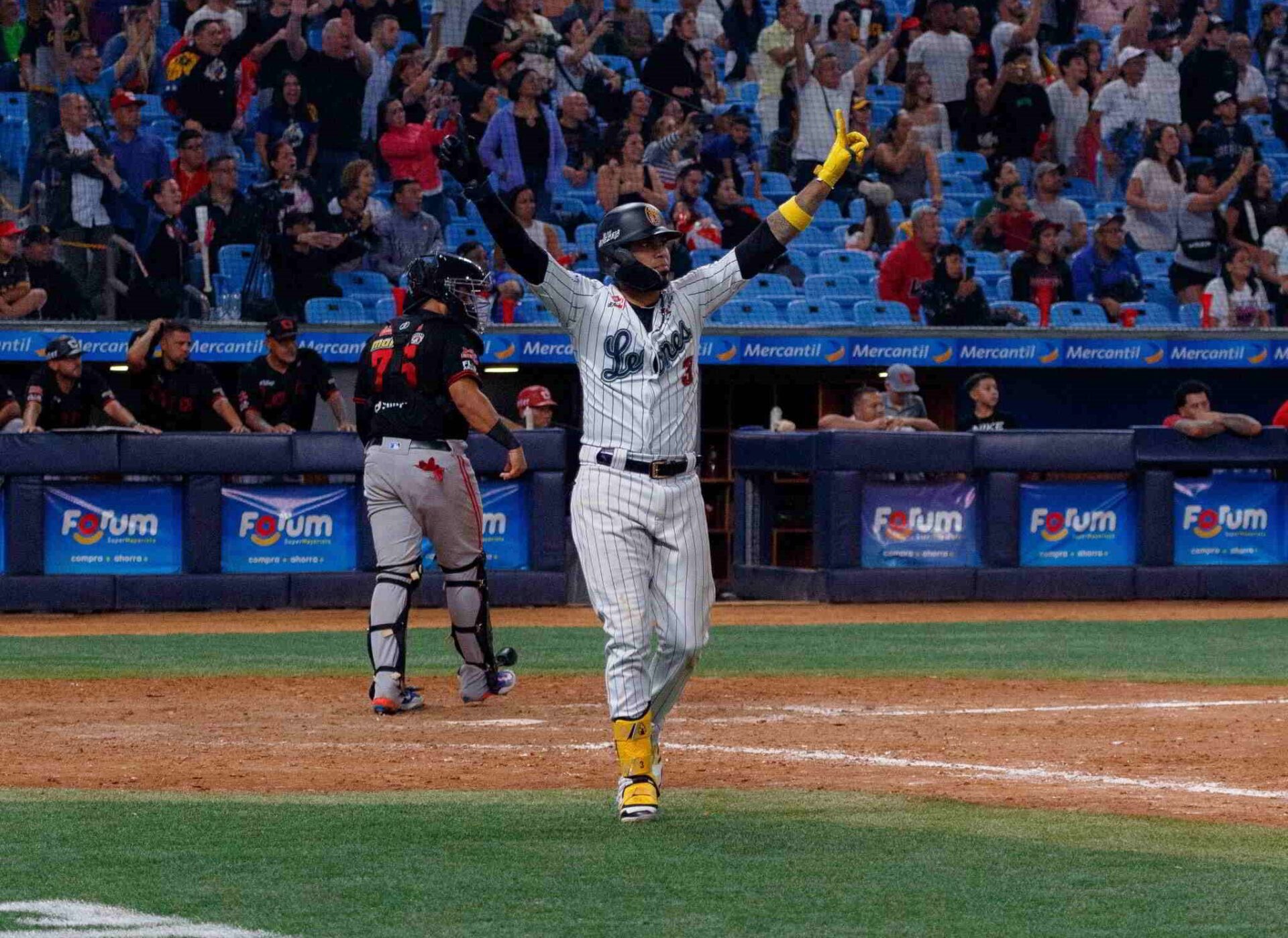 Leones del Caracas disputa primer lugar con Cardenales de Lara