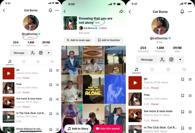 El Sumario - TikTok anunció el lanzamiento de la TikTok