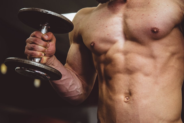 El Sumario - Estrategias para incrementar la masa muscular de manera efectiva masa muscular