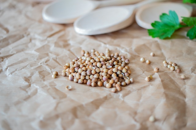 El Sumario - Explora los sorprendentes beneficios de la carne de soya soya