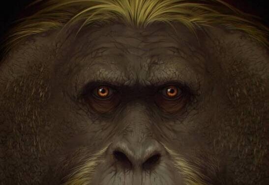 El Sumario - Revelan las causas de la extinción del mayor primate conocido primate