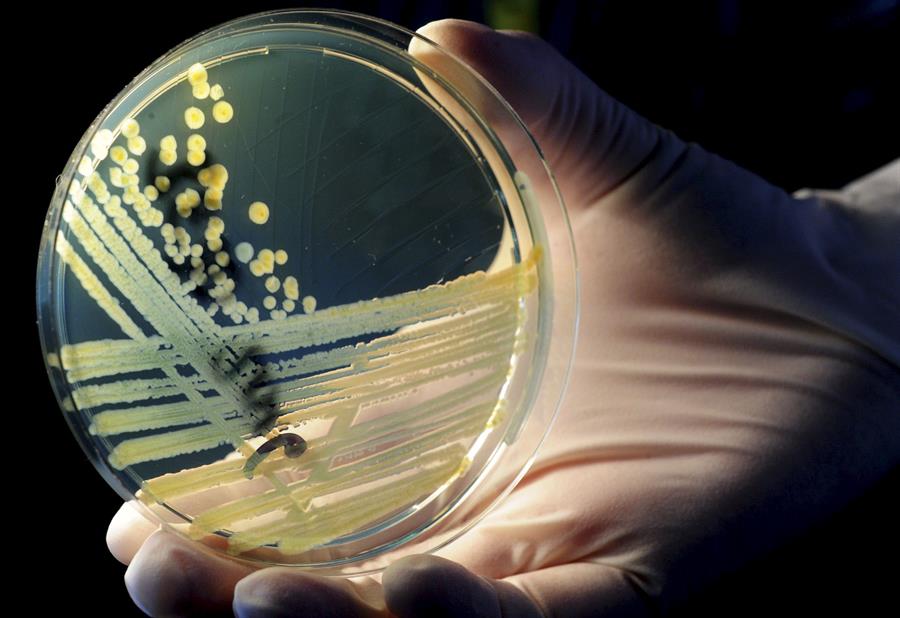 superbacterias
