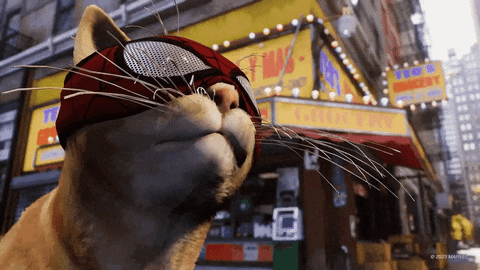 gato bailando de felicidad porque los juegos de Xbox podrían llegar a PlayStation 5.- Blog Hola Telcel