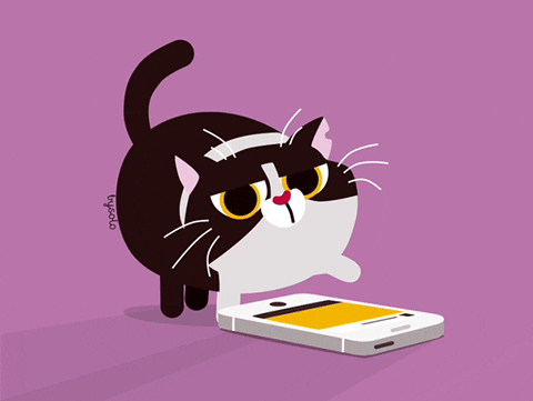 Gatito dándose cuenta que ahora puede hacer 'stickers' desde Instagram.- Blog Hola Telcel.