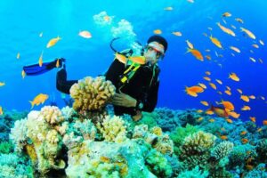 Los Roques