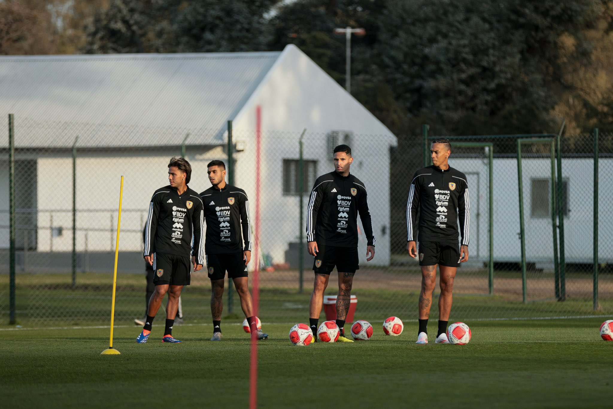 Vinotinto - preparación en Buenos Aires