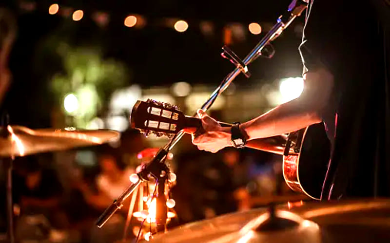 Día Internacional del Músico