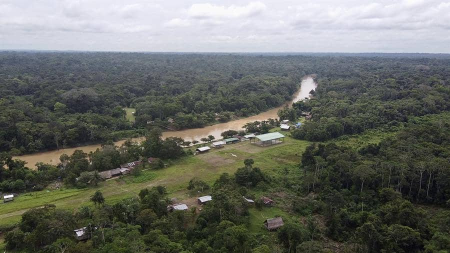 Hallan 458 especies de peces en Ecuador: el 21,9 % de todas las del Amazonas