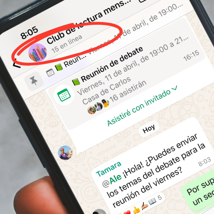 WhatsApp Ve cuántas personas están en línea en tus grupos de WhatsApp.- Blog Hola Telcel