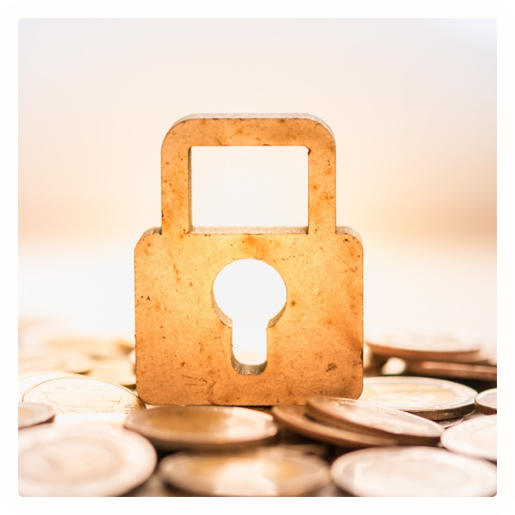 Proteger tus Ahorros - Carlos Alessandro Cestari Infantini